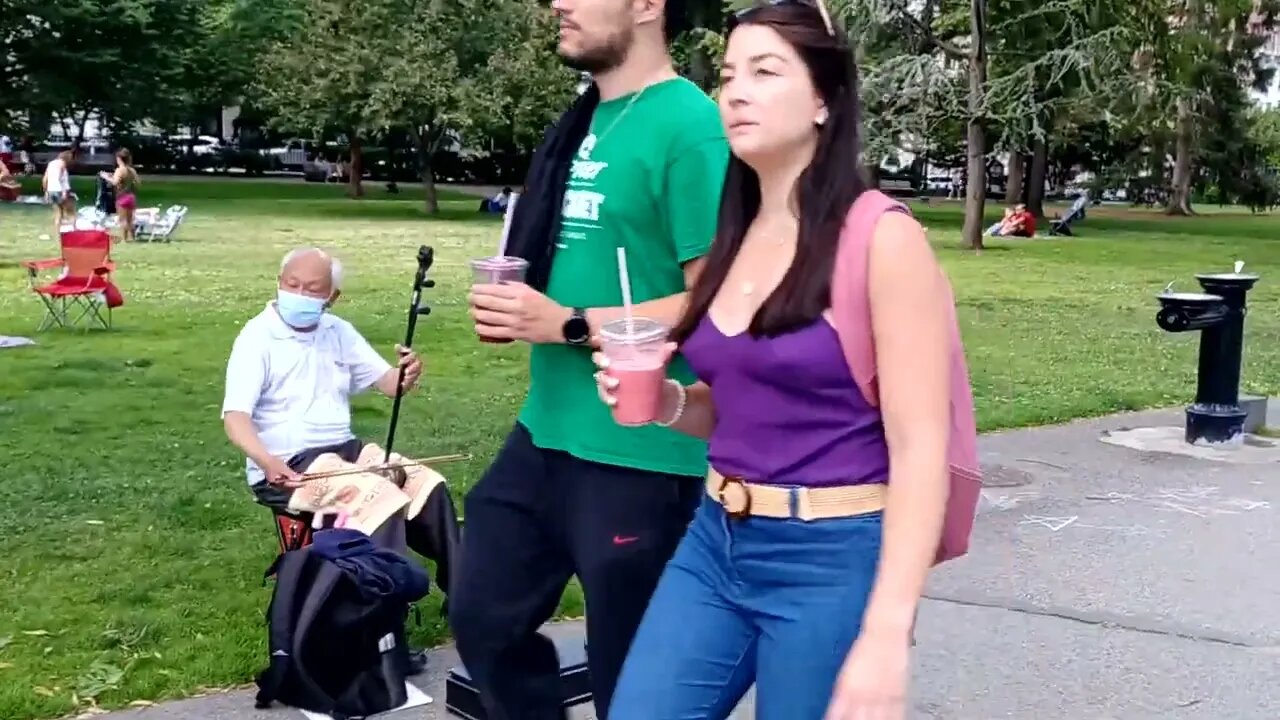 a walk around the Boston Public Garden