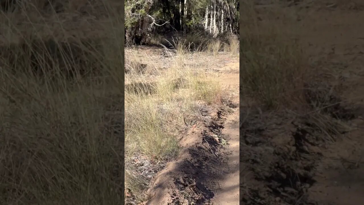 Out on the tracks