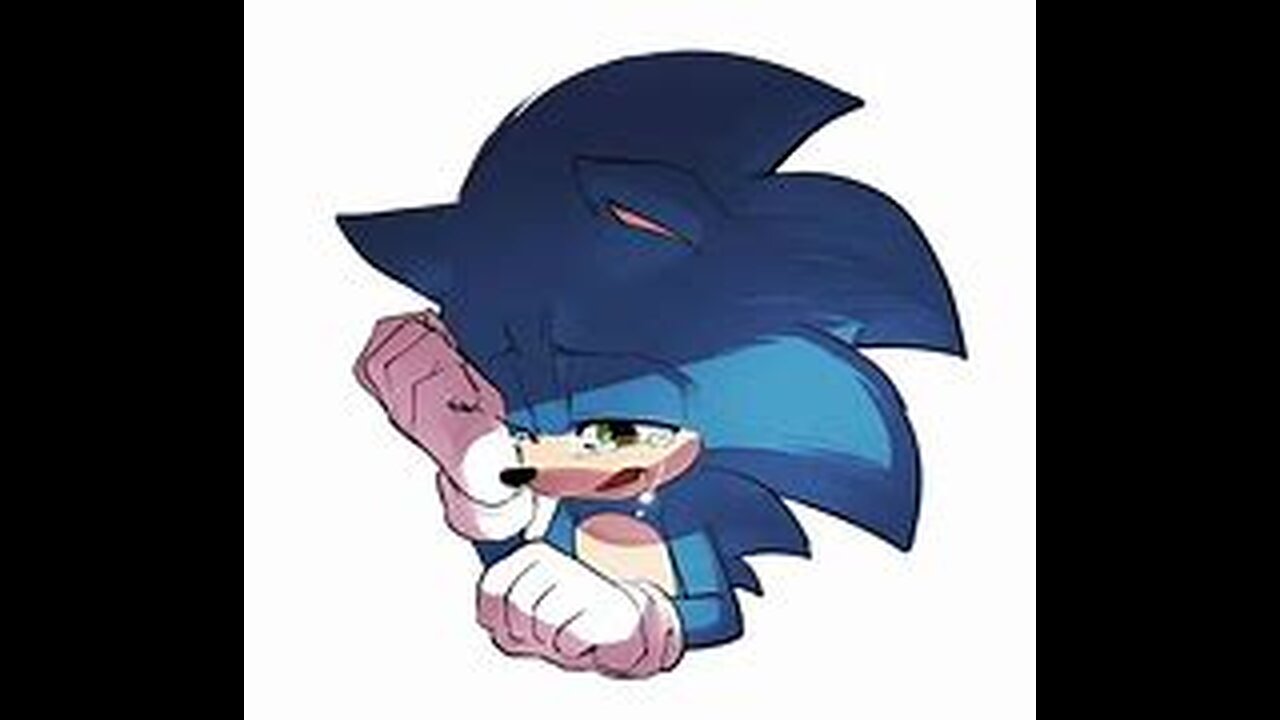 ME / SONIC ARE SAD WE HAVE TO WAIT TO GO SEE SONIC3 UNTIL MY DAD COME TO MY HOUSE