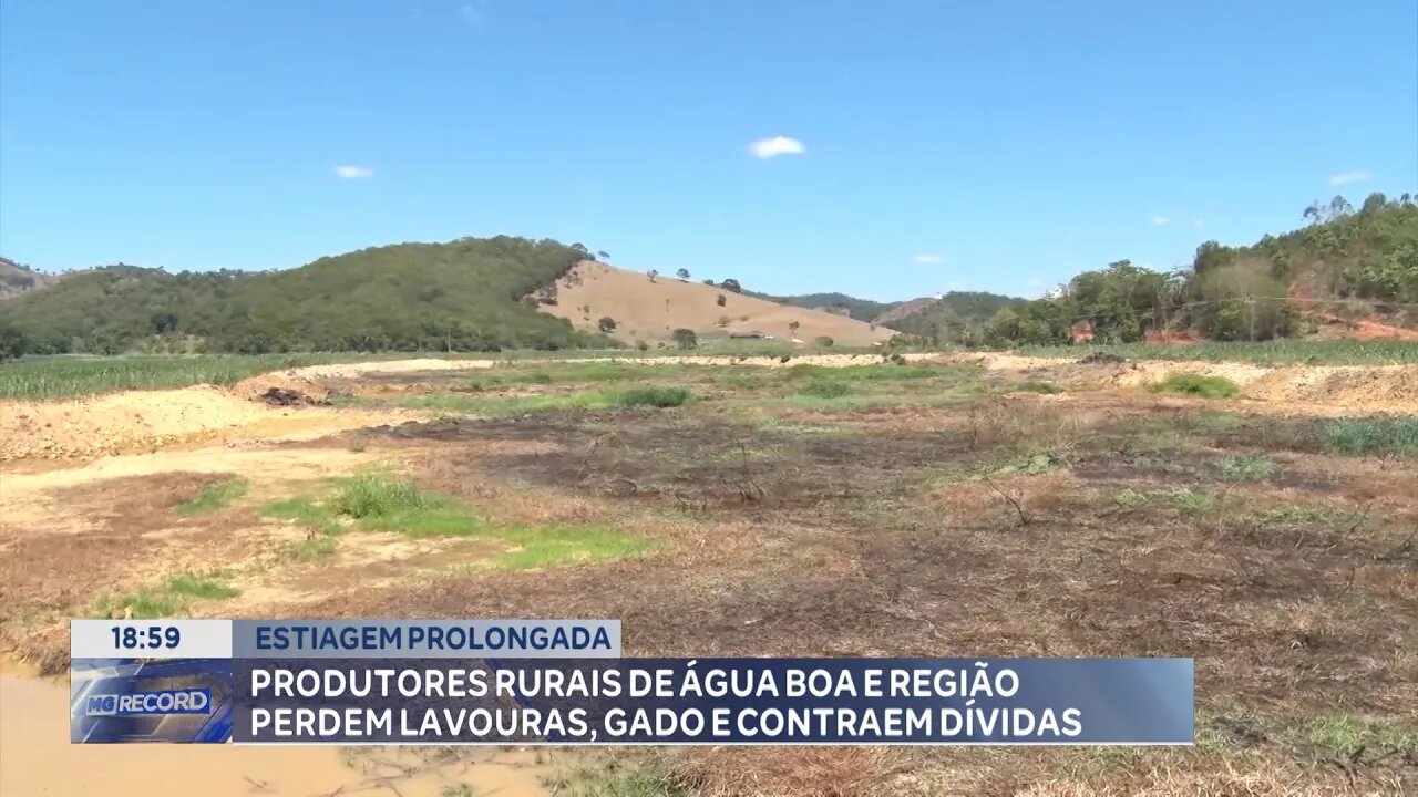 Estiagem Prolongada: Produtores Rurais de Água Boa e Região Perdem Lavouras, Gado e contraem Dívidas