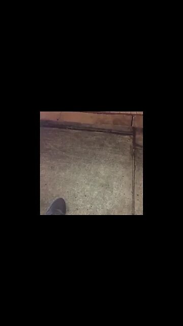 Gang-stalking in Action : The TikTok Edition on YouTube