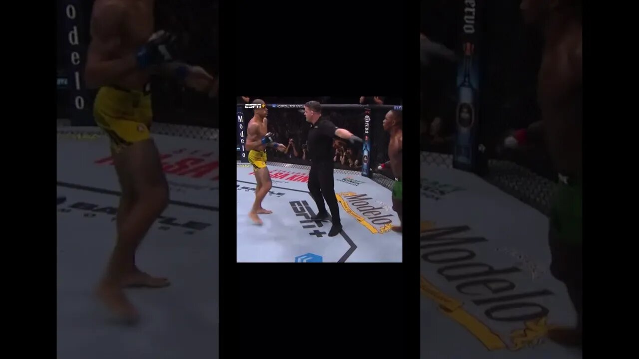 IZZY TAGS PEREIRA #shorts #ufc #ufc281 #adesanya #pereira