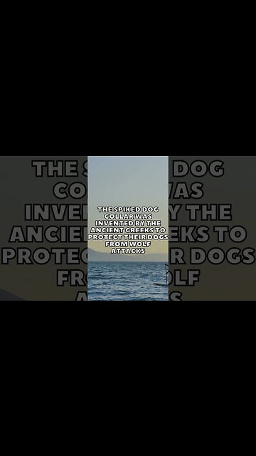 Incredible Random Facts That Will Expand Your Mind! [2023] #shorts #facts #viralshorts #fyp #life