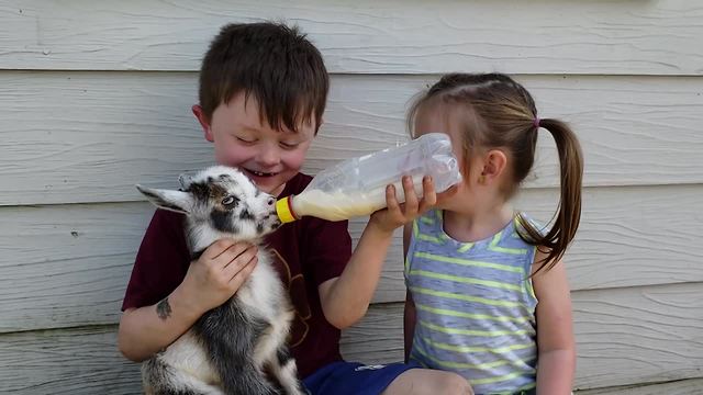 Cute Animals & Funny Kids Never Fail To Make Us Laugh