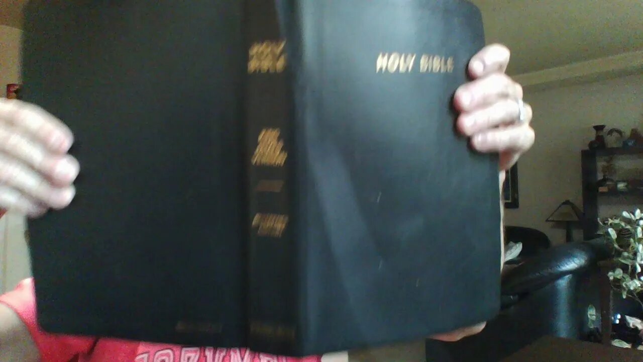 BIBLE JAMES THE PHONE IS A PART NOT CHIP