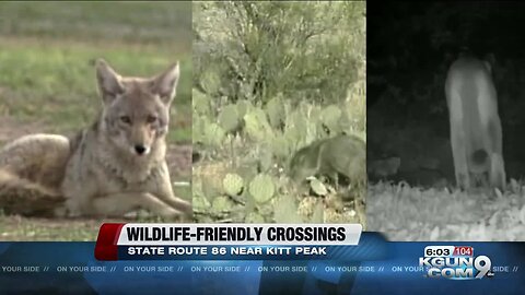 Newly announced wildlife bridges to offer critters safe crossings near Kitt Peak