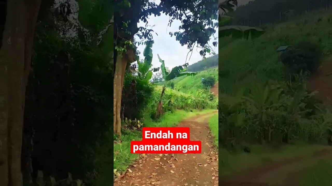 ini nih yang bikin kangen suasana pedesaan