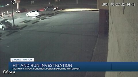 Hit and Run Investigation