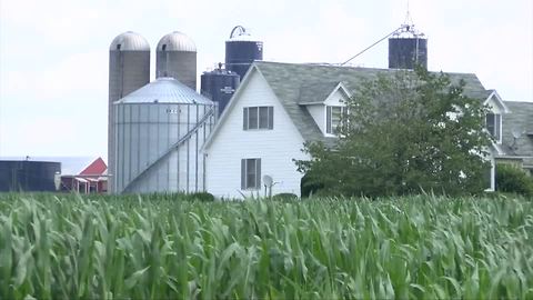 Tariffs could cost WNY big bucks despite federal aid