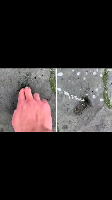 Strange sand holes spout water when poked