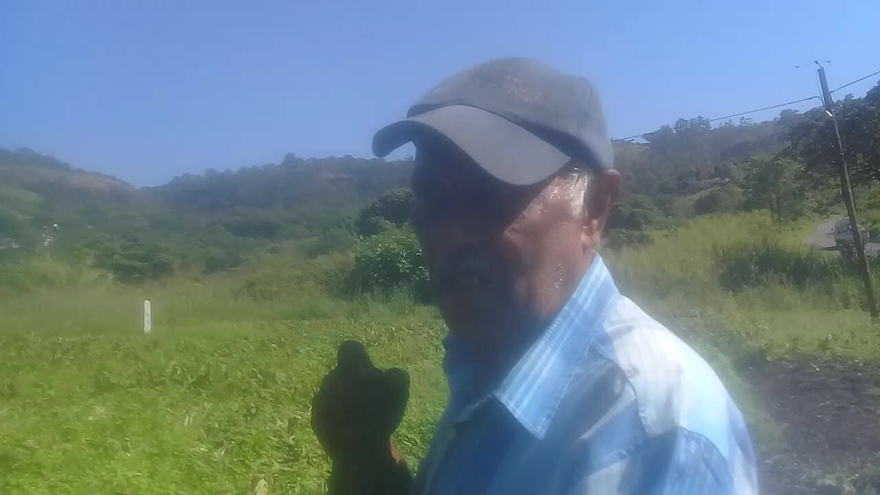 SOUTH AFRICA - Durban - Spinach crops destroyed by heavy rains (Video) (YDc)