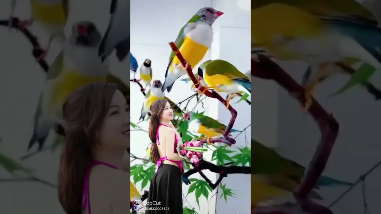 color full bird