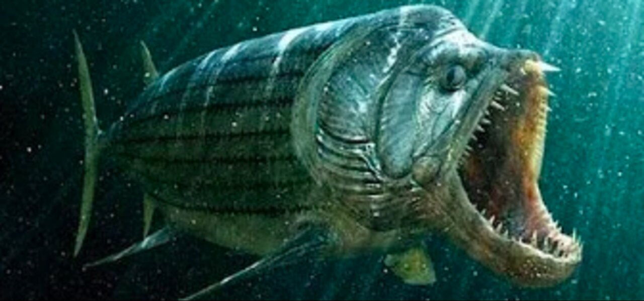 Ancient Sea Creatures - Ocean Monsters