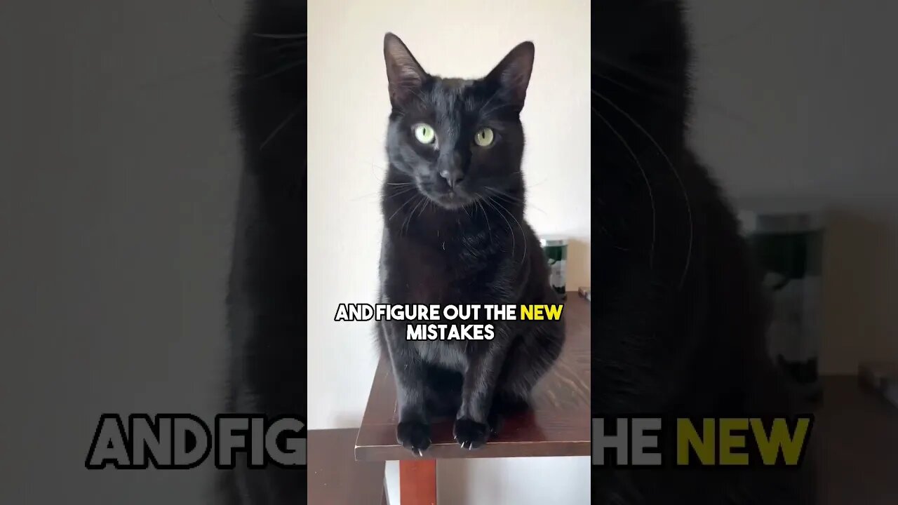Happy New Years๐๐ #cat #blackcat #leonthecatdad #newyear #newyears #sarcasm #relatable