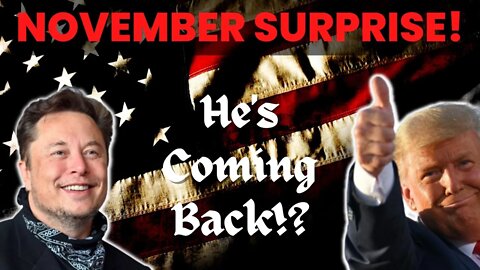 November SURPRISE from Elon? TRUMP to Return to Twitter?!!