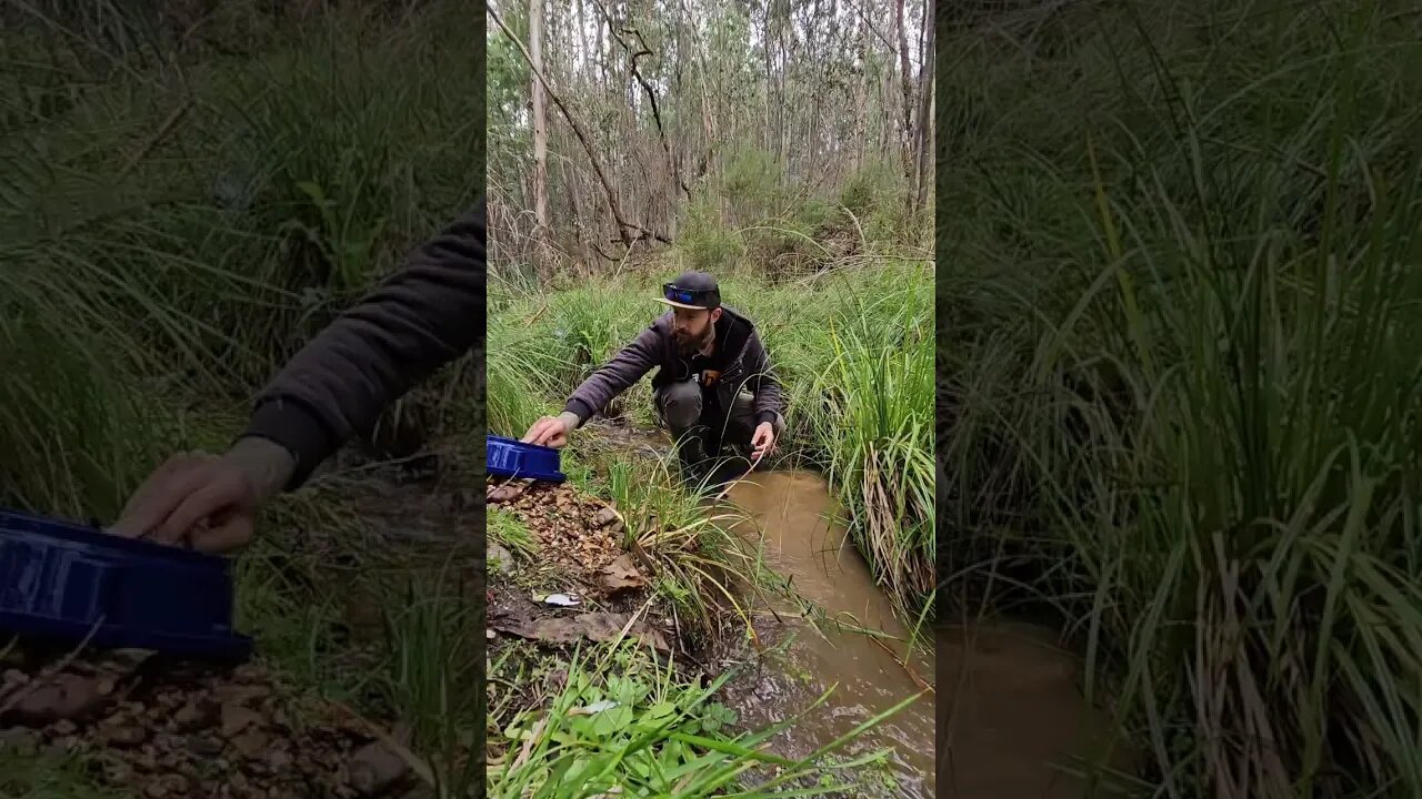 I Went Gold Panning in the Frenchman's Mine