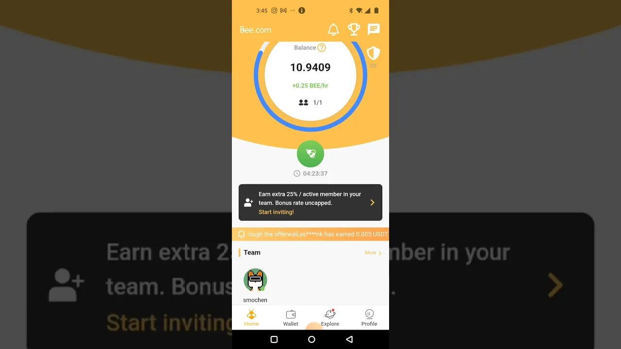 Bee network