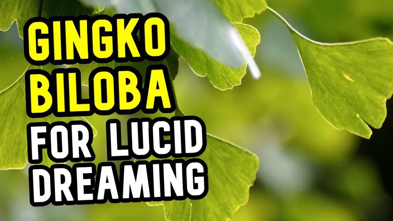 Using GINGKO BILOBA For Lucid Dreaming: Be Careful