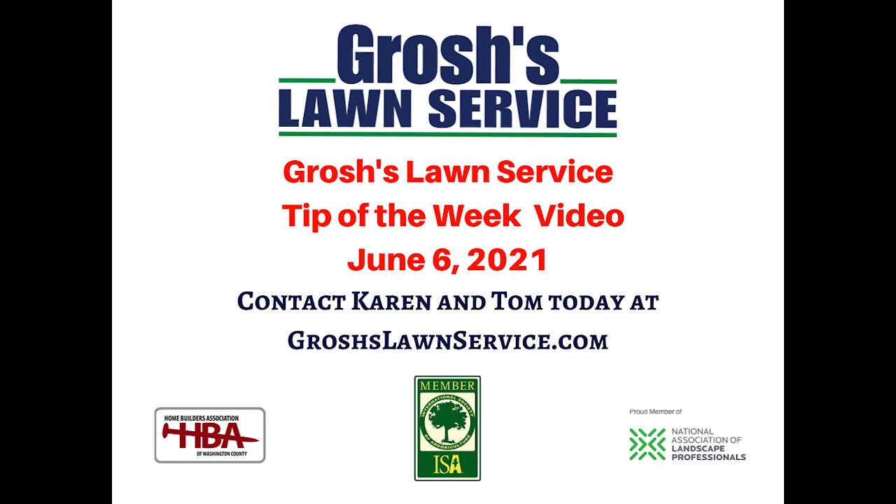 Landscaping Contractor Williamsport MD GroshsLawnService.com Video