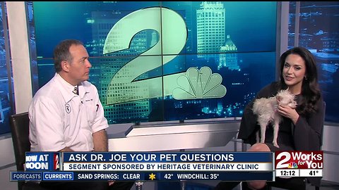 Ask Dr. Joe your Pet Questions: Crystal