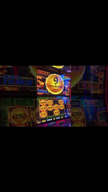 You Won't Believe What $250 Bet Pays! #casino #slots #gambling