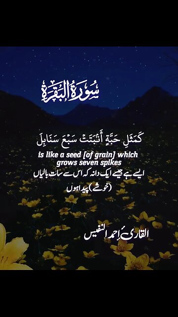 Surah Al Baqrah By Qari Ahmad Al Nafees