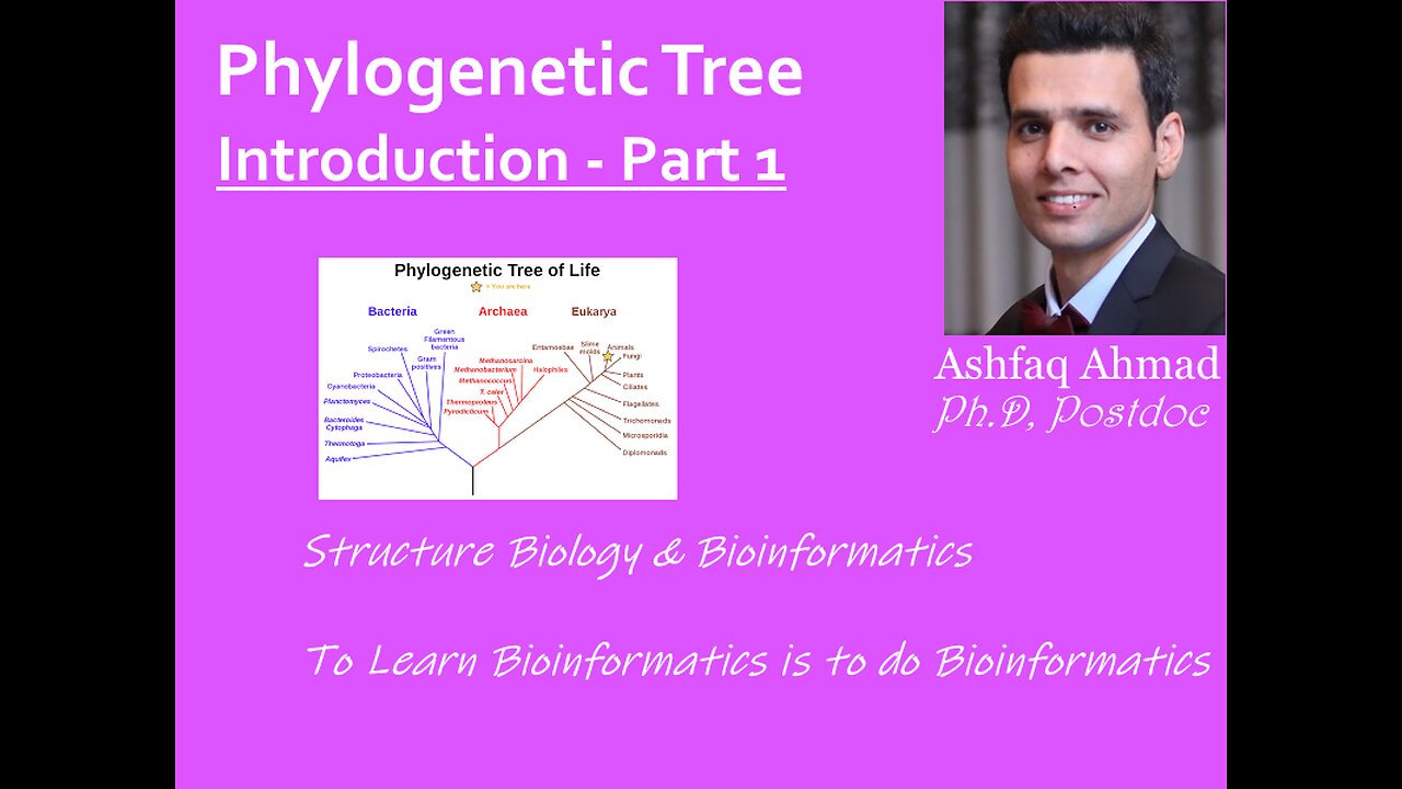 Discussing Key Areas in Protein Research - PART 2