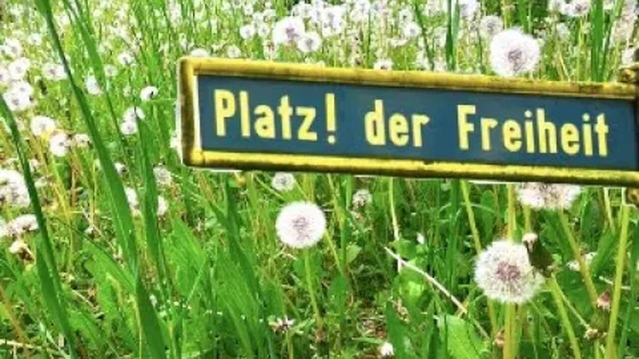 "Nicht mein Ding" (live bei "Platz der Freiheit" im Mai 2023)