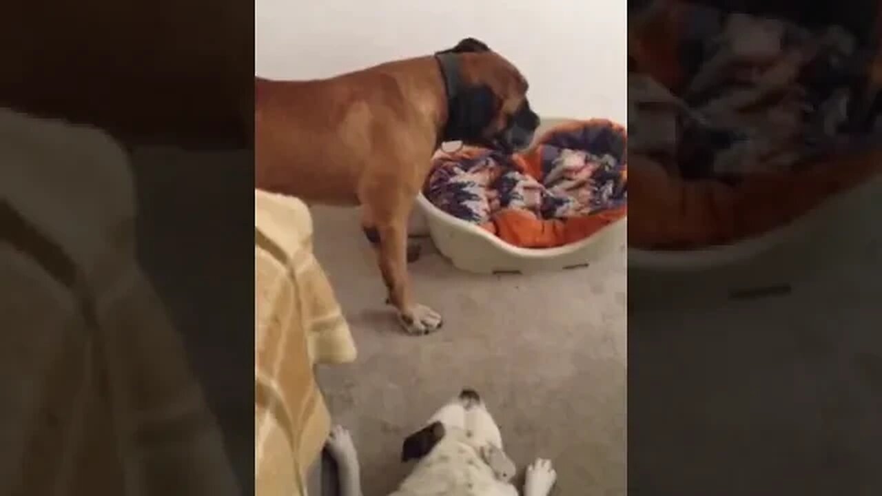 Bono and Famke playing inside