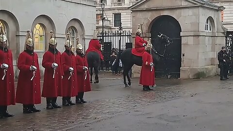 4 oclock inspection stamping feet scares horse #horseguardsparade