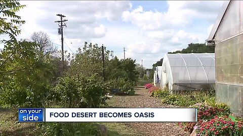 Project stemming from Opportunity Corridor helps Cleveland urban farm further its mission