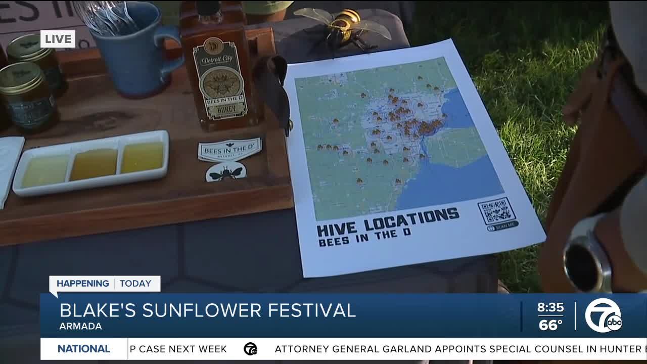 Blake's Sunflower Festival