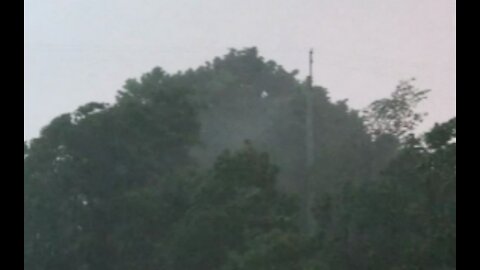 The wind bends trees and raises debris up.