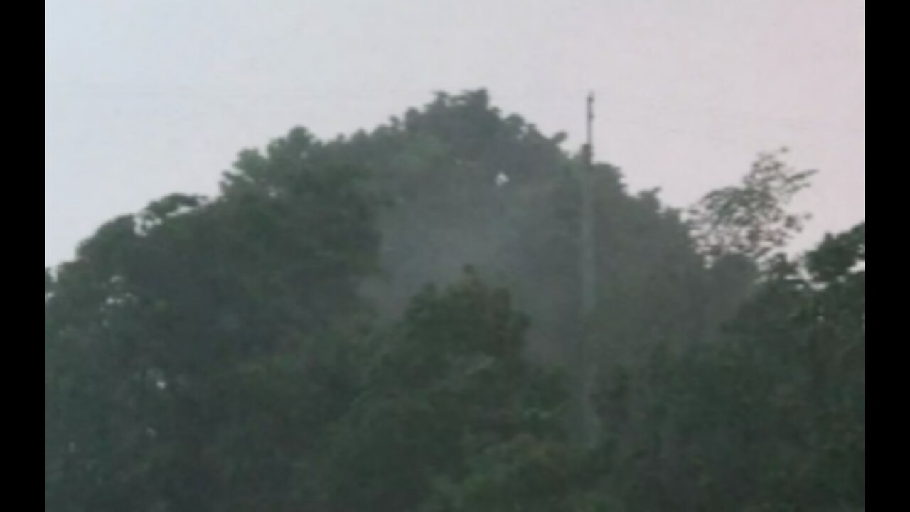 The wind bends trees and raises debris up.