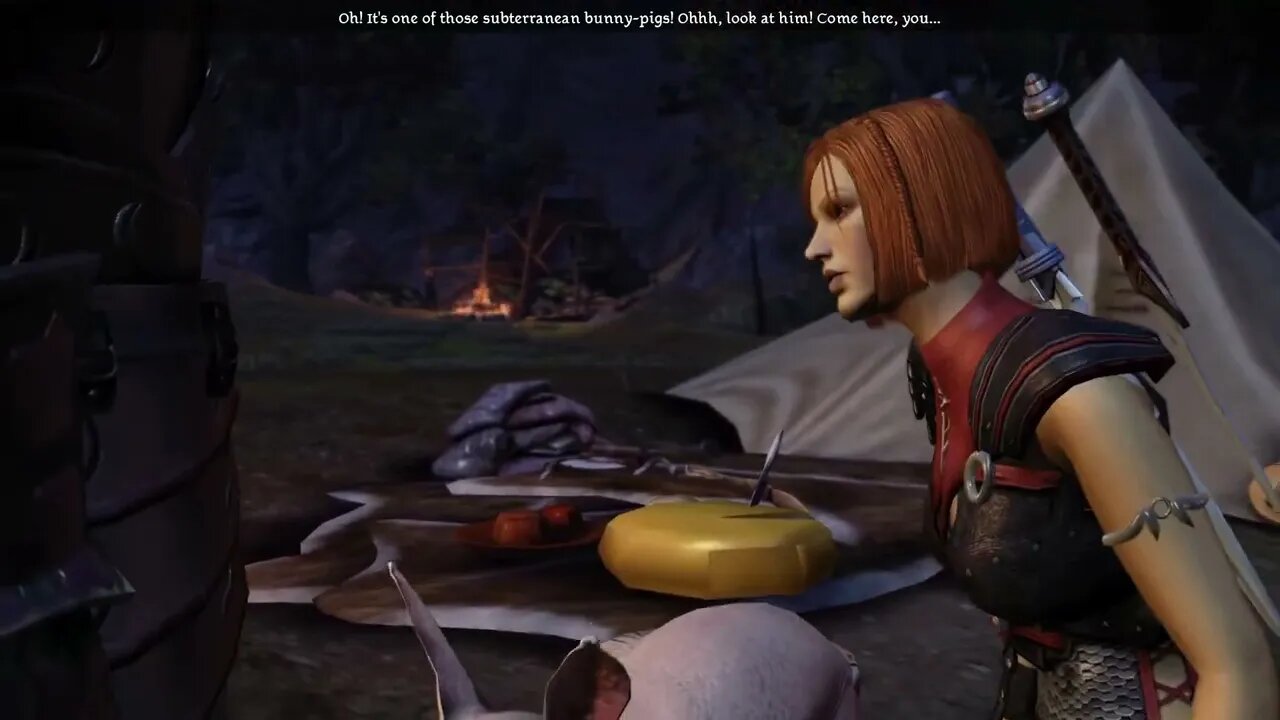 Dragon Age Origins - Giving Leliana a Nug