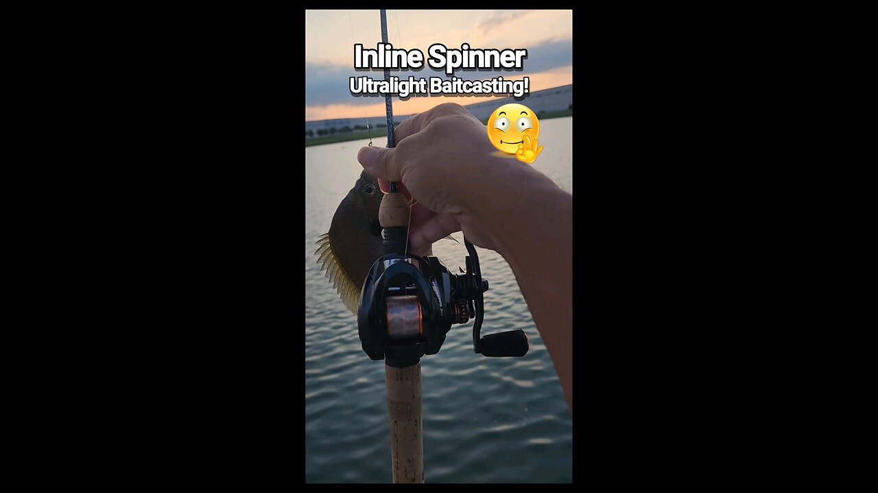 Try Inline Spinners and BFS Fishing Gear #fishing #baitfinesse #bfs