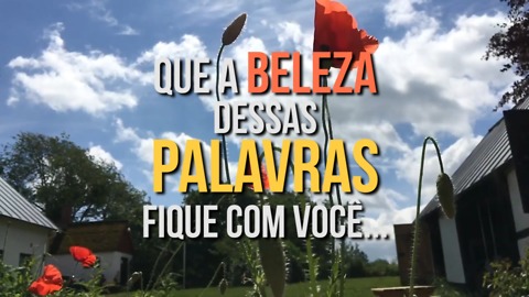 Que Você Receba a Beleza Dessas Palavras...