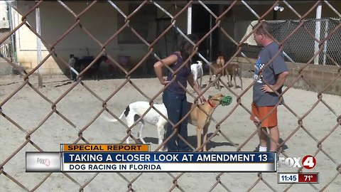 Future of Greyhound Racing in Florida