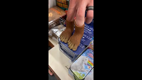 Why my wife doesn’t take me out￼