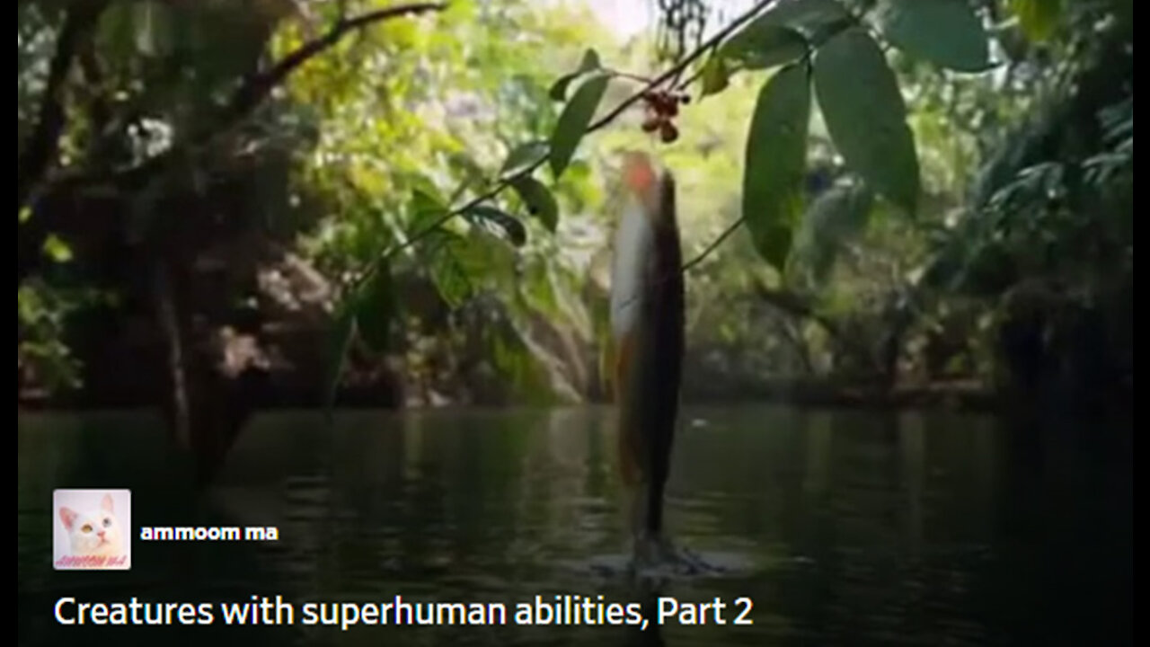 Creatures with superhuman abilities, Part 2