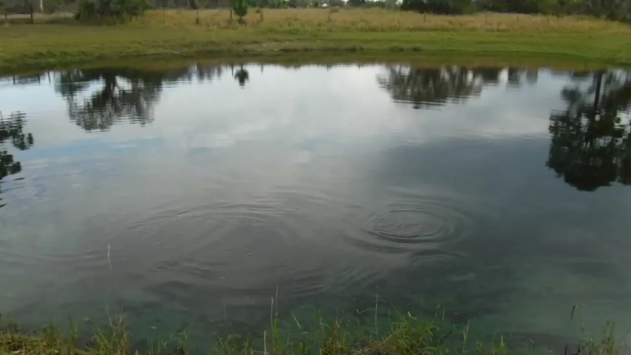 Me and Toni feeding the fish 3/25/22 1
