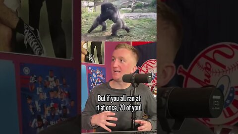 How Many People Would Be Needed to Defeat a Gorilla?! #shorts #gorilla #animal #fight #human