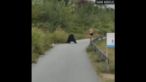 Bear randomly touches Woman!!!