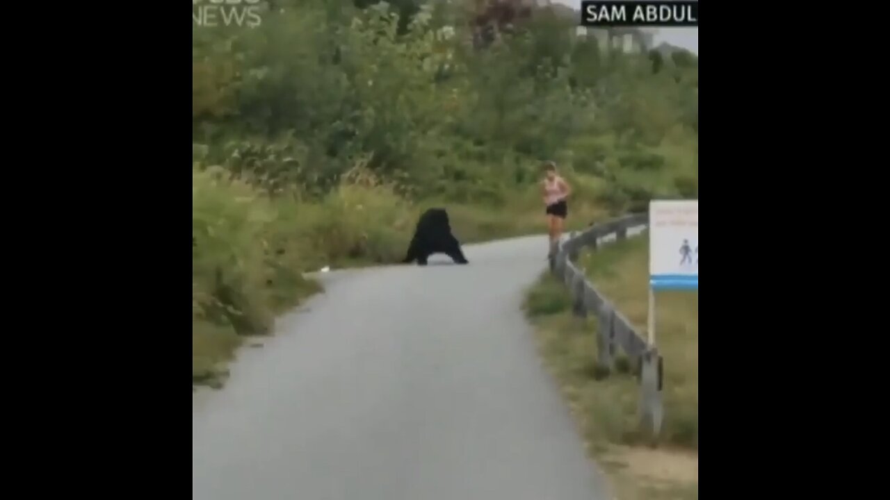 Bear randomly touches Woman!!!