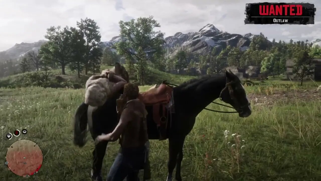 Red dead redemption gameplay with Rock Mercury