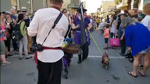 Mardi Gras Dog Parade