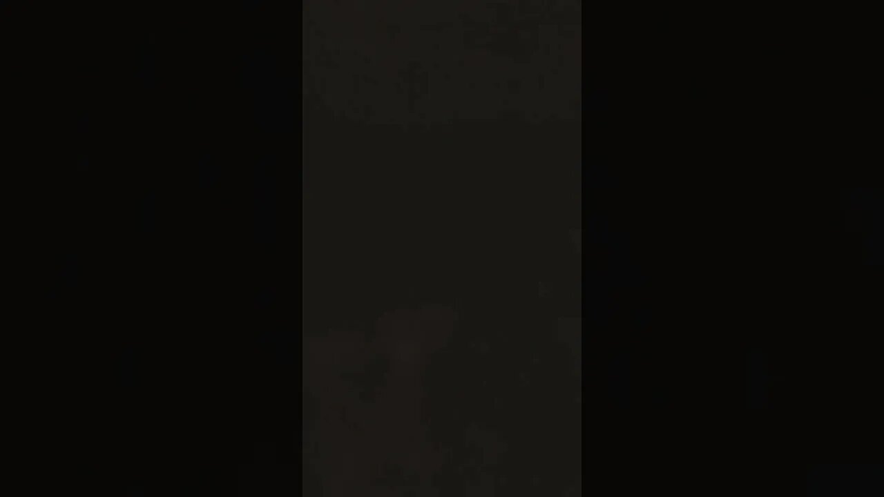 Sick Day Video #2 🤧
