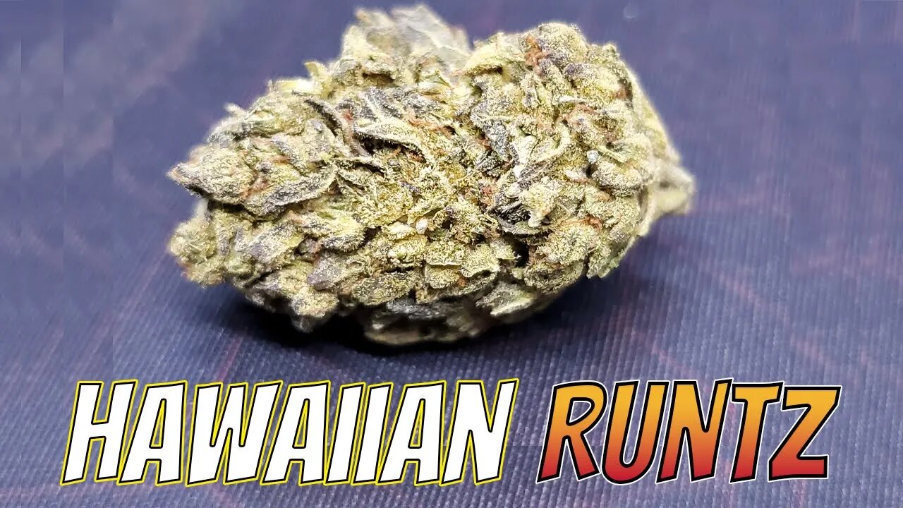 Hawaiian Runtz Strain Review