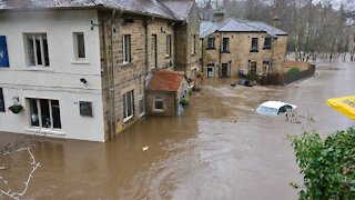 How To Survive a House Flood