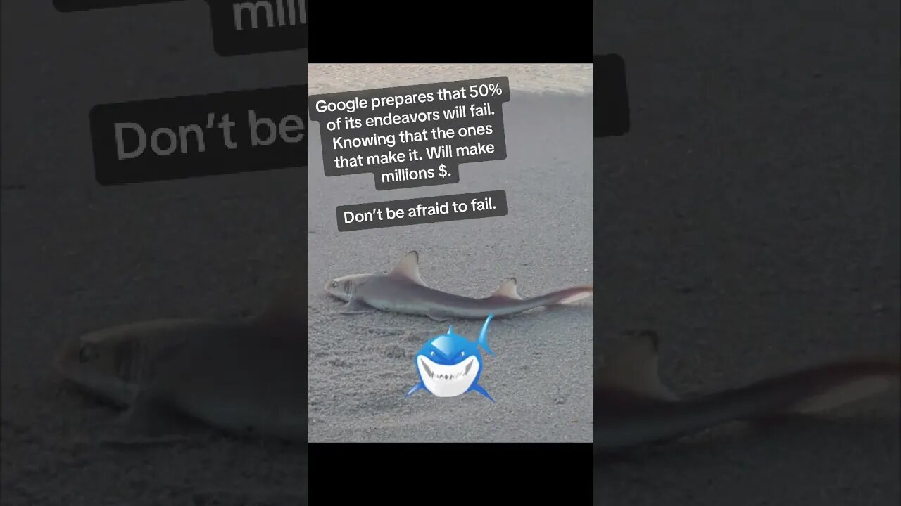 #rescue #shark #babyshark #sharkrescue #quoteoftheday #positivevibes #google #funfacts